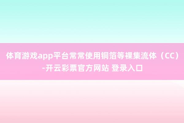 体育游戏app平台常常使用铜箔等裸集流体（CC）-开云彩票官方网站 登录入口