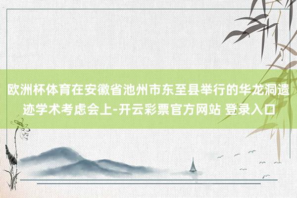 欧洲杯体育在安徽省池州市东至县举行的华龙洞遗迹学术考虑会上-