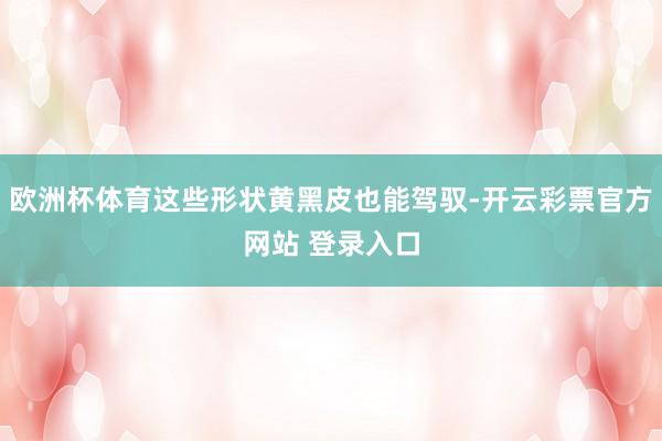 欧洲杯体育这些形状黄黑皮也能驾驭-开云彩票官方网站 登录入口 欧洲杯体育这些形状黄黑皮也能驾驭-开云彩票官方网站 登录入口