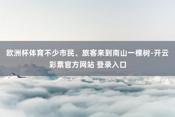 欧洲杯体育不少市民、旅客来到南山一棵树-开云彩票官方网站 登