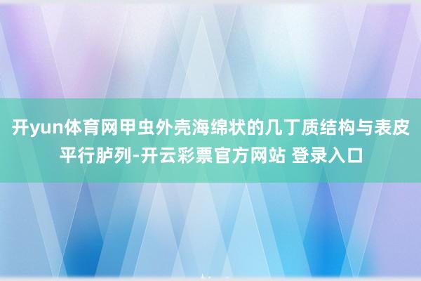 开yun体育网甲虫外壳海绵状的几丁质结构与表皮平行胪列-开云彩票官方网站 登录入口